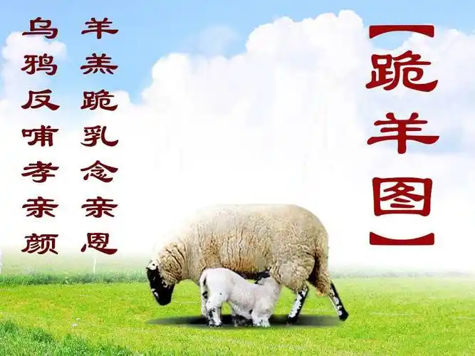 羔羊跪乳乌鸦反哺的故事--学佛网