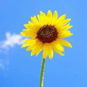 励志正能量头像图片大全高清励志充满正能量的微信头像