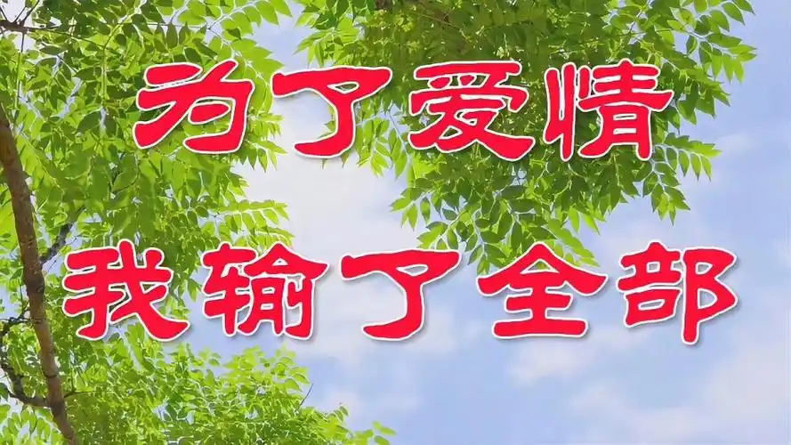 新歌为了爱情我输了全部