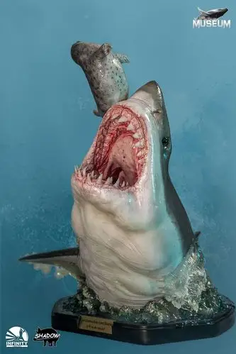 怡红infinitystudio开天工作室博物系列大白鲨鲨鱼雕像淘宝网