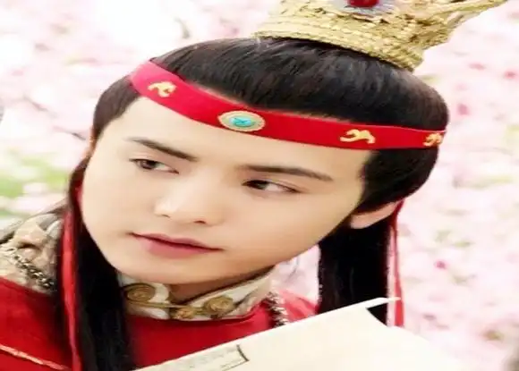 甄宝玉,功成名就的贾宝玉