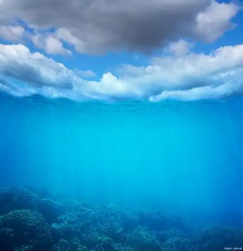 重启诺亚方舟之海底美的诱惑