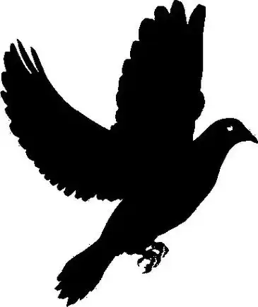 激光啄木鸟 #雕刻素材 动物剪影之和平鸽 - 抖音