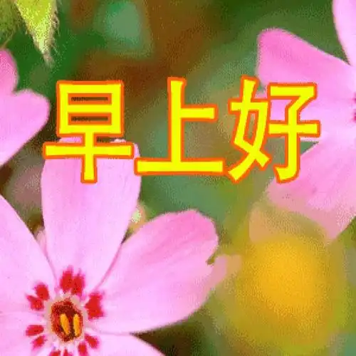 1.22 2020.1.23 2020.1.24 2020.1.26