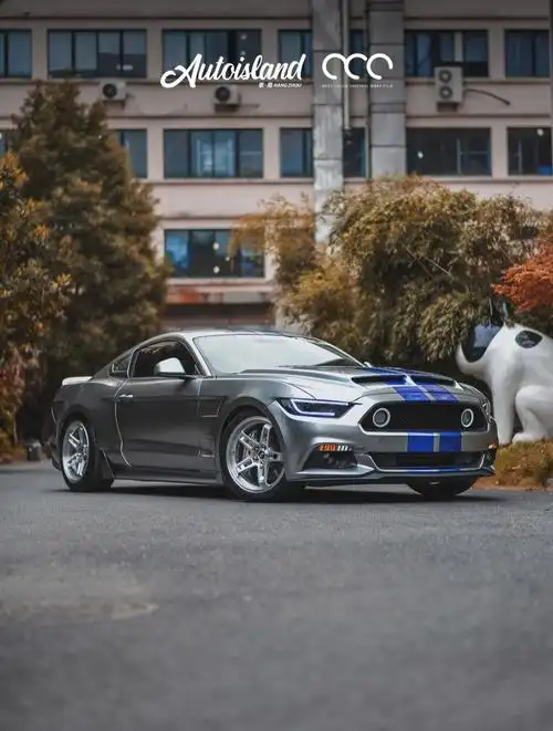 福特野马petgt银典藏版