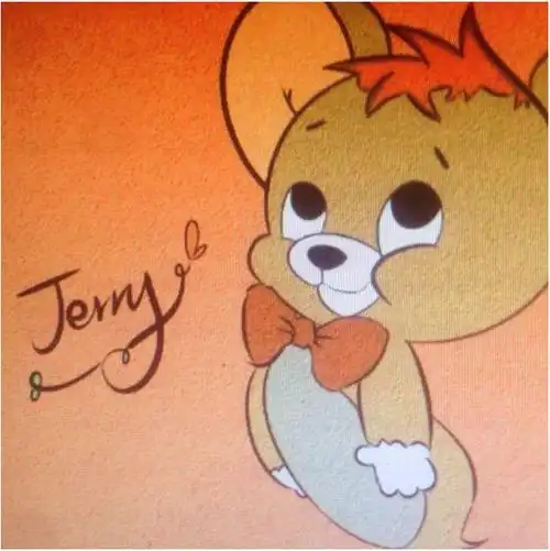 求个小jerry原图
