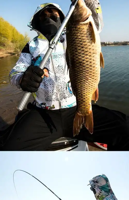 2021新款宝飞龙鱼竿旗舰银龙鲤三代超轻硬台钓大物