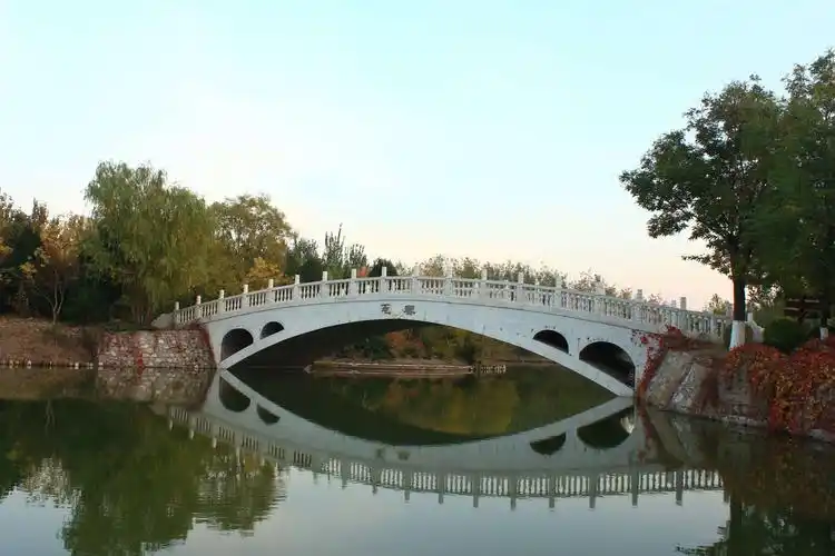 塘沽森林公园的小桥 - 美篇