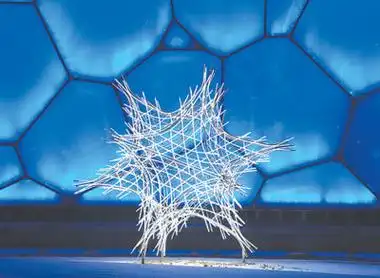 雪之花自然主题的艺术诠释