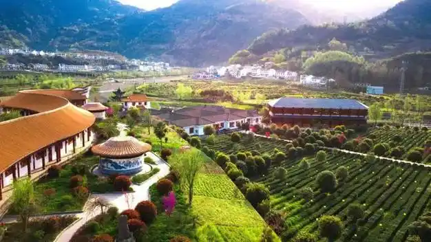 就去安康来一场赏花寻芳之旅959推荐