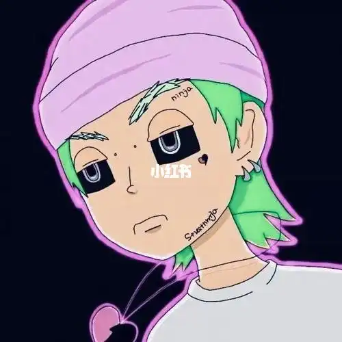 ninja头像rapperhippo