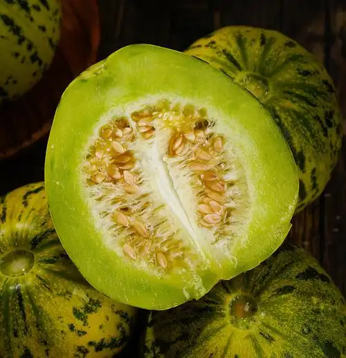 八里香甜瓜花蕾甜瓜超甜新鲜现摘应季水果整箱甜香2斤尝鲜装