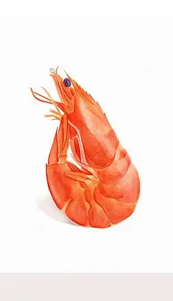 烂虾专题模板-烂虾图片素材下载-我图网