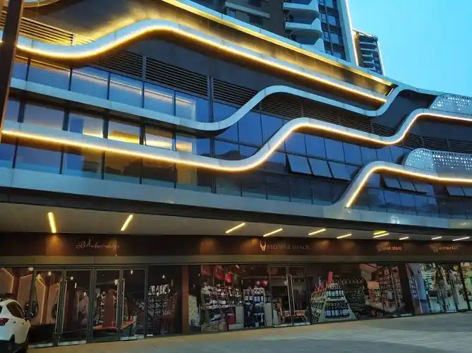 如今哪种房子不能碰过来人商铺最伤人慎重投资为好