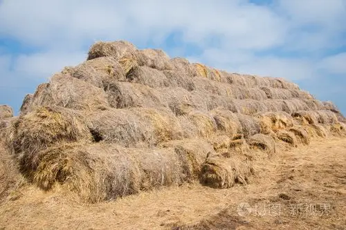 秸秆干草堆,堆在一起