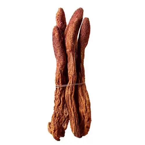 甘肃金锁阳500g干片泡茶特级泡酒料配肉苁蓉淫其他药食同源食品