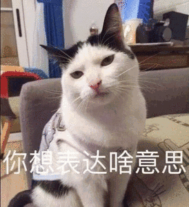 群内大佬的沙雕表情包第五十六期