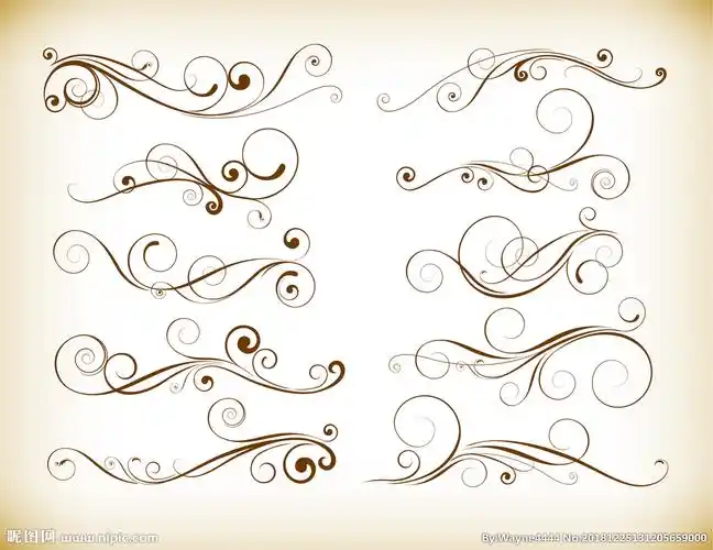 漂亮的装饰线描花纹矢量素材图片
