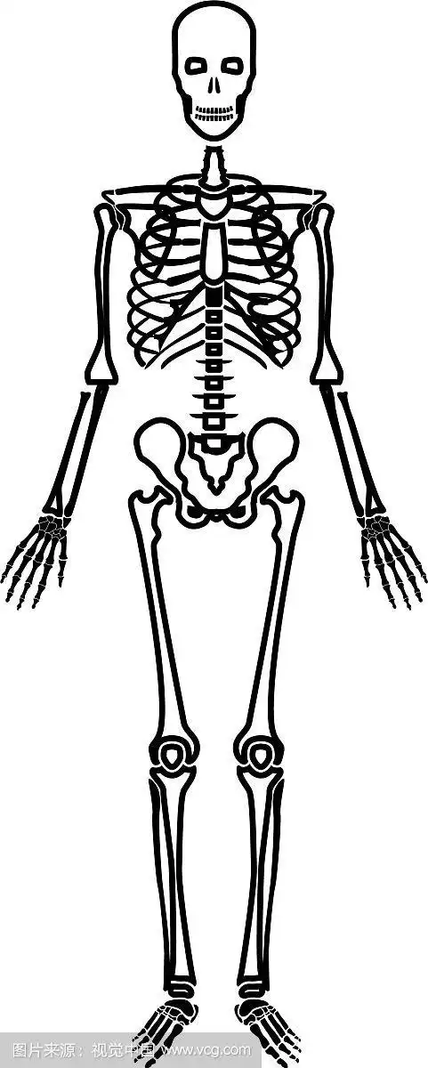 人体骨骼图标黑色,颜色平坦,风格简单