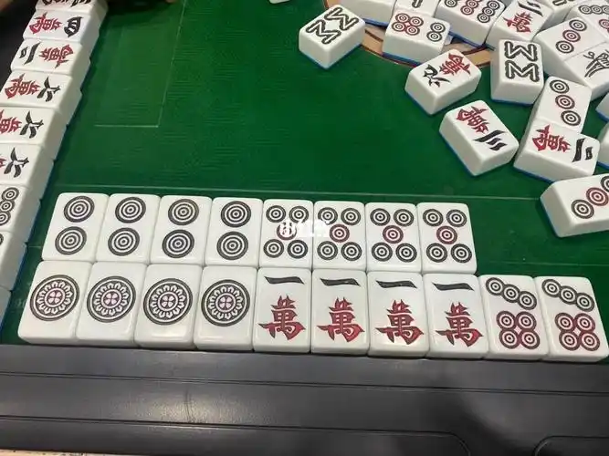 十八罗汉被我胡到了