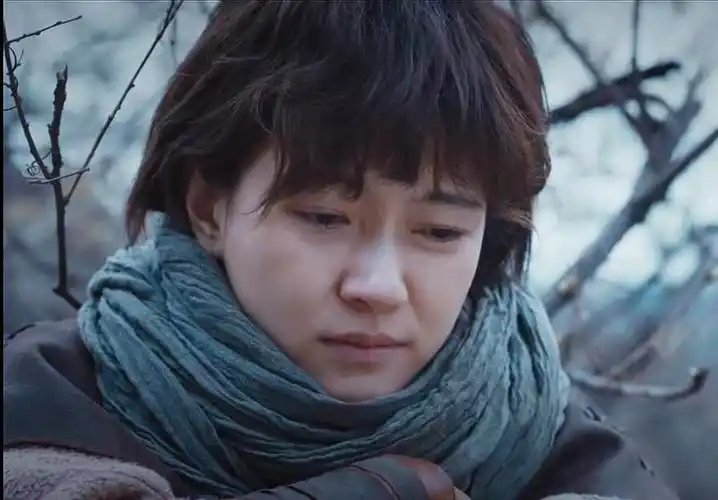 焦俊艳烽烟尽处