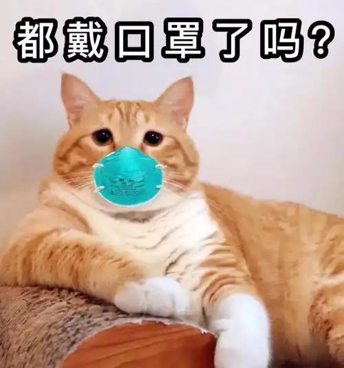 戴口罩表情包 | 求求你们,出门戴口罩吧