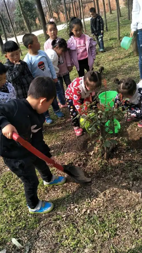 三月十二日是植树节,为了使孩子们能够积极主动参与植树节活动,亲身