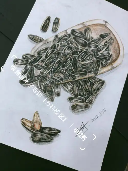 彩铅瓜子彩铅绘画创意美术瓜子写生