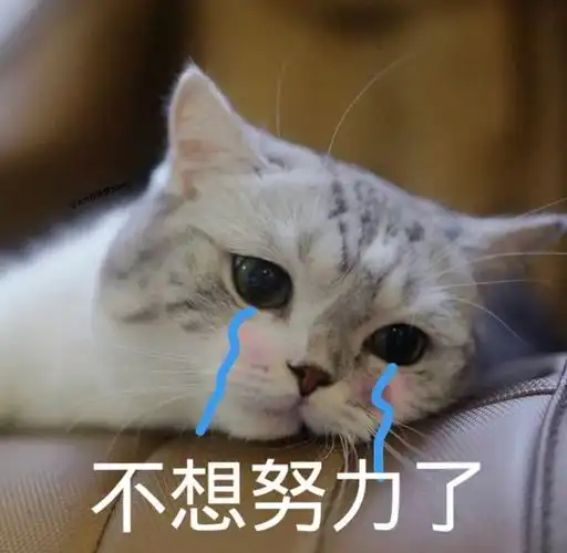 沙雕表情包|不想努力了