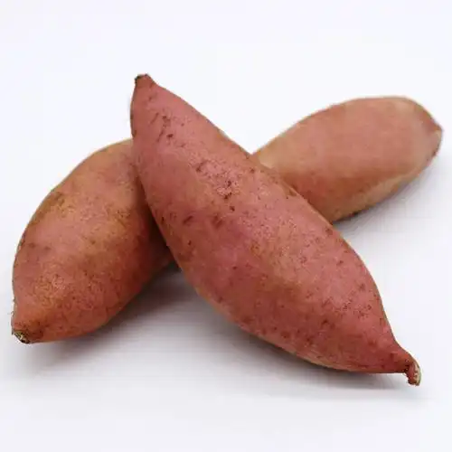 千年缘农家自种新鲜龙九红薯糖心蜜薯地瓜马铃薯(5斤大果(带箱))