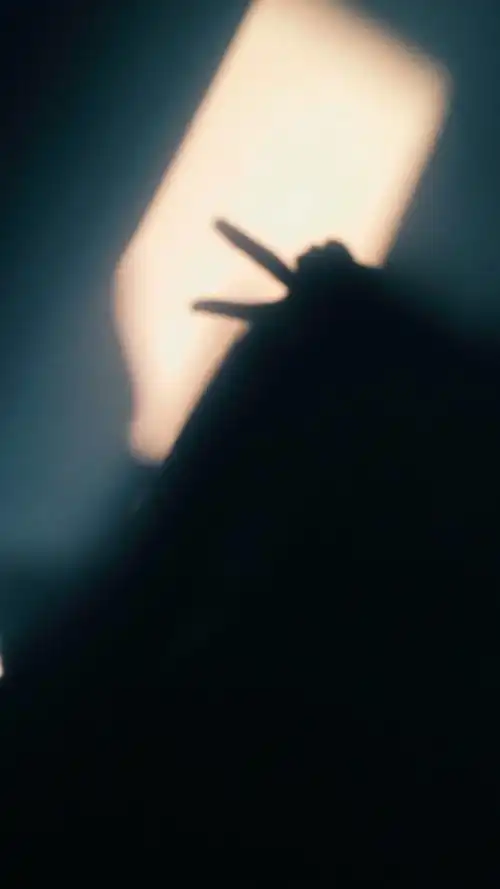 影子,女生,背影,头像,壁纸,可爱,唯美,小清新