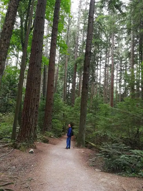 温哥华的太平洋之魂森林公园