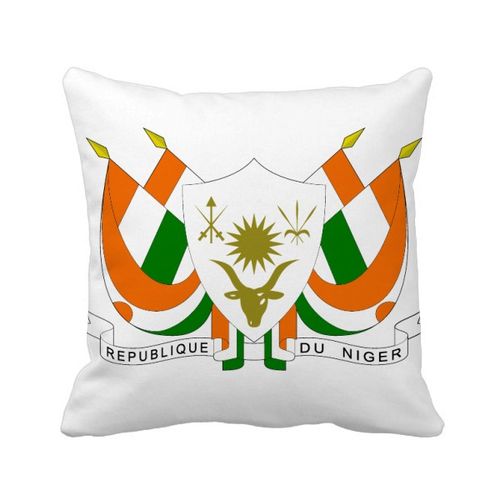 尼日尔共和国非洲国徽方形抱枕靠枕沙发靠垫双面含芯礼物