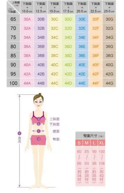 女生标准三围是多少