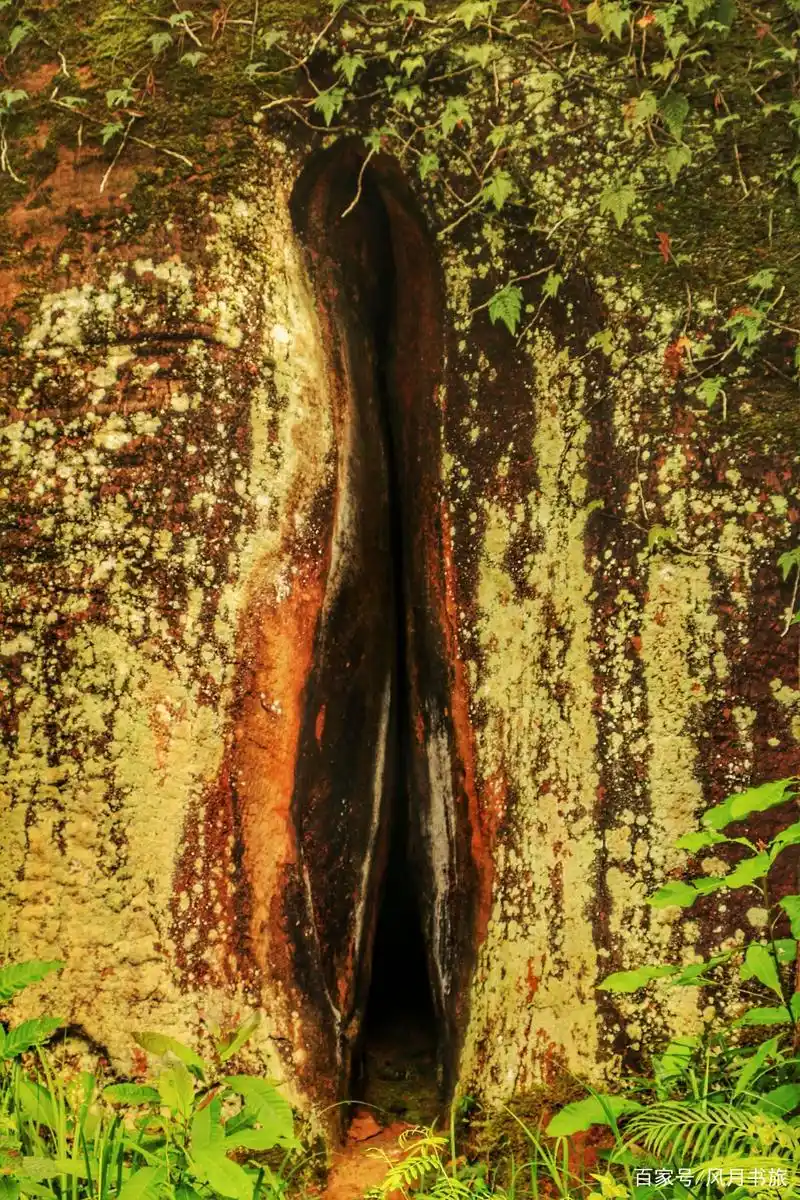 广东韶关有2奇石,28米阳元石"一柱擎天",10米阴元石"半开半合"