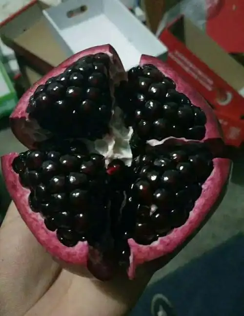 盘点4种黑色的水果,吃过2种算你"牛掰",图4吃了舌头变颜色!