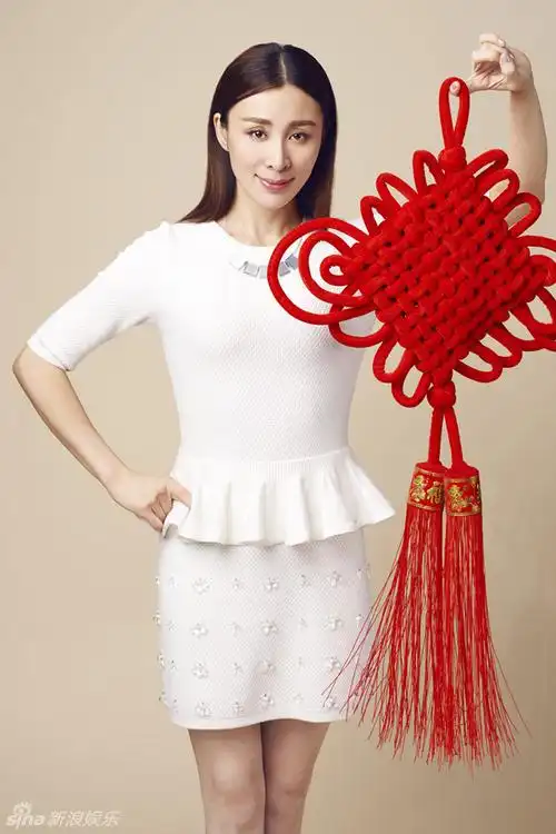 武小莉拜年杨世瀚