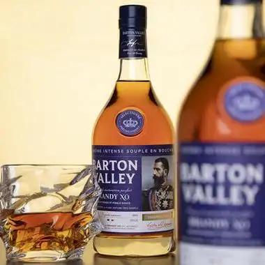 barton vslley 巴顿谷 法国 白兰地 40度 700ml单支礼盒装 - 价格券后