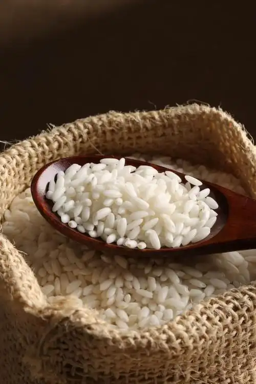 新疆羊脂籽米20年新米胚芽米10斤沙垦庄园沙漠大米非五常稻花香米