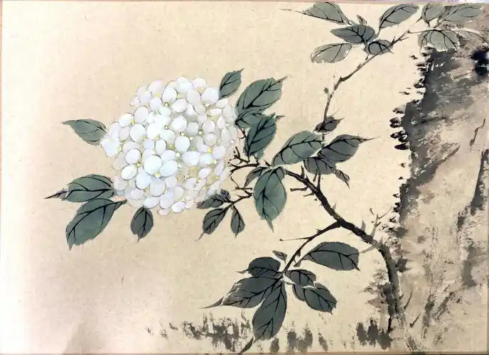 每次画绣球,都会#花鸟画  #国画  #没骨画  #绣球  想到郁郁葱葱的