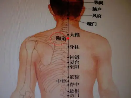 几个穴位轻松解决颈椎烦恼