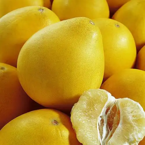 p>黄金蜜柚产于 a href="#" data-lemmaid="215383">江西 /a>, a