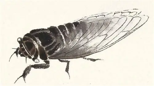 齐白石的蝉拍出8个亿到底画的有多好网友放大一看太值了