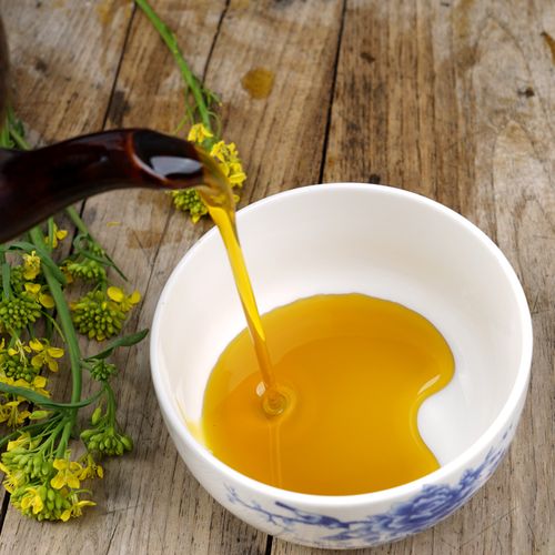 菜籽油手工压榨纯正农家自榨小瓶转基因食用油25l菜籽油