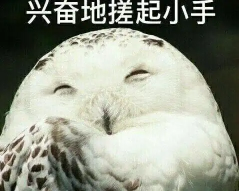 兴奋地搓起小手_小手_兴奋表情