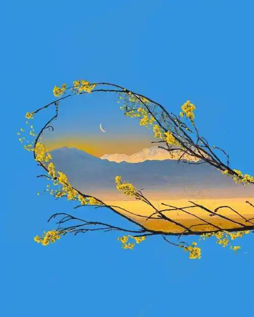 适合春天发朋友圈的文字