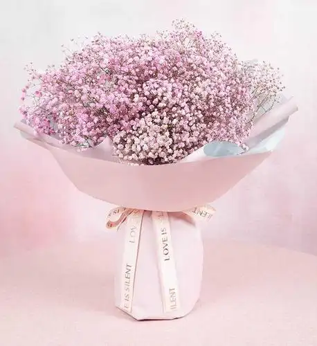 粉色满天星花束