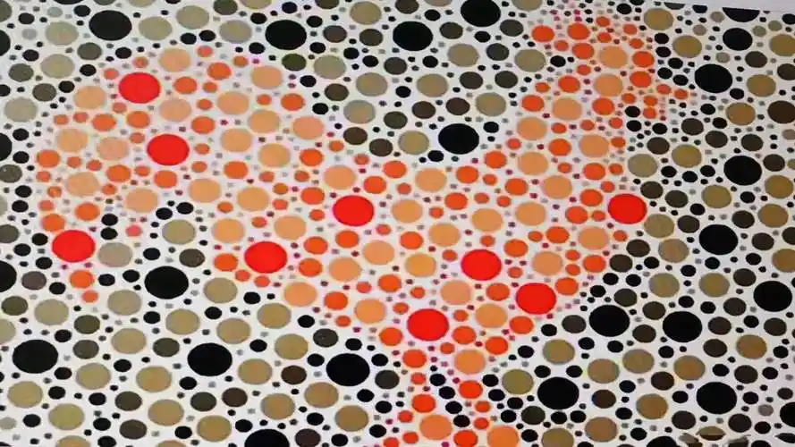 公务员体检色盲测试,图中的小动物是什么?长见识啦