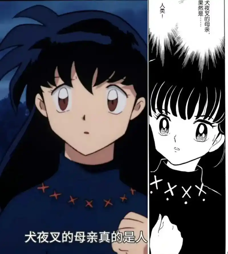 在犬夜叉里可能连路人公主都会比戈薇更漂亮.