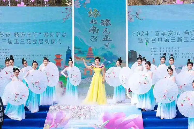 2024春季赏花畅游南阳系列活动暨南召县第三届玉兰花会正式启动